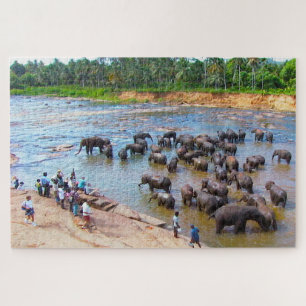 Elefanten von Sri Lanka. Jigsaw Puzzle