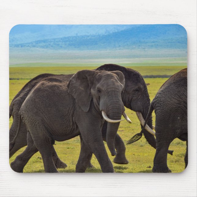 Elefanten, Wildtiere, Natur Mousepad (Vorne)