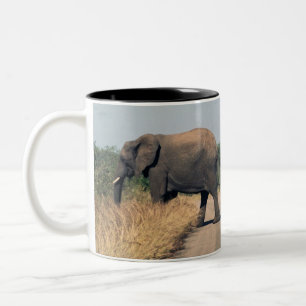 Elefanten Zweifarbige Tasse