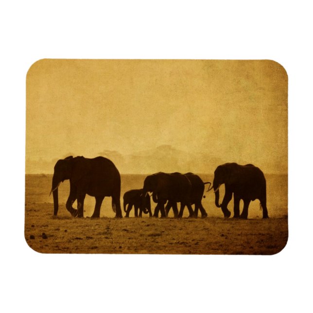 Elefantenfamilie Magnet (Horizontal)