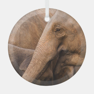 Elefantenfamilie: Majestic Wildlife Ornament Aus Glas