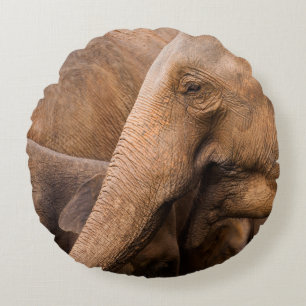 Elefantenfamilie: Majestic Wildlife Rundes Kissen