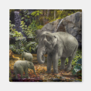 Elefantenfamilie RAIN FOREST PARTY Magnet