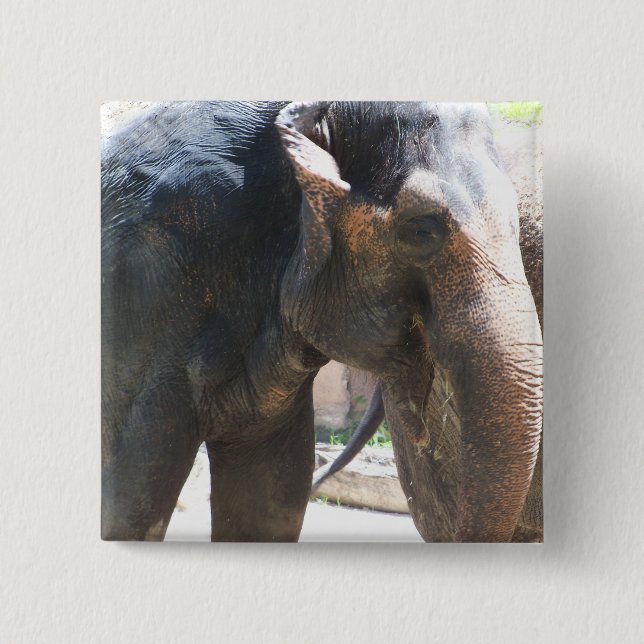 Elefantengesicht Button (Vorderseite)