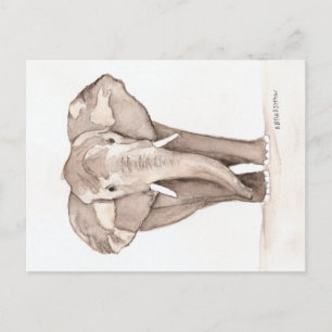 Elefantengrußkarte Postkarte