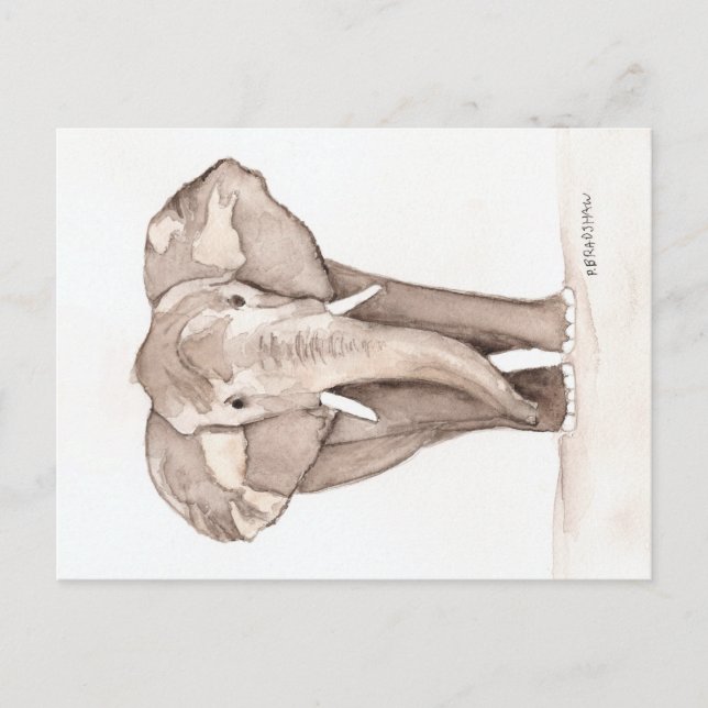 Elefantengrußkarte Postkarte (Vorderseite)