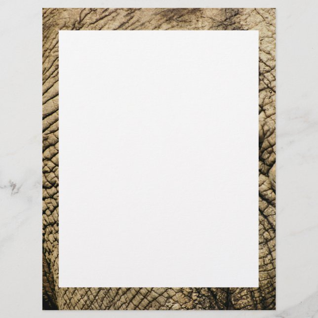 Elefantenhaut - Tierärzte, Agenten (Vorderseite)