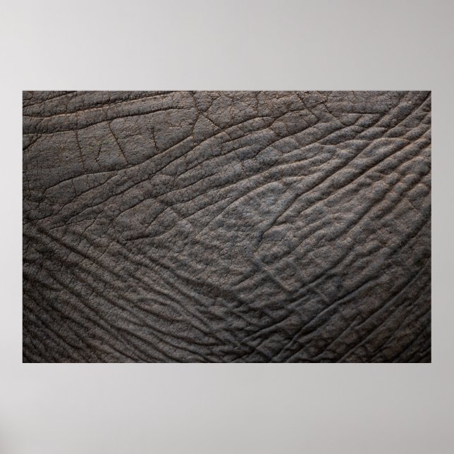 Elefantenhauttextur Poster (Vorne)