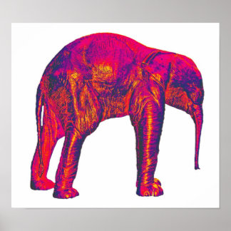 Elefantenkalb, rot/rosa, weißer Rücken Poster
