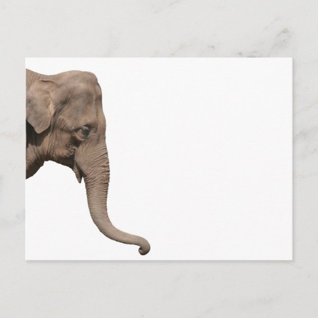 Elefantenkopf Postkarte (Vorderseite)