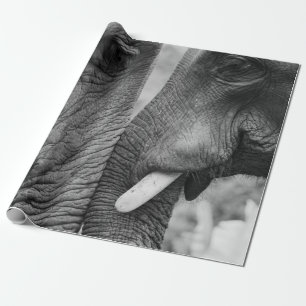 ELEFANTENPAAR GESCHENKPAPIER