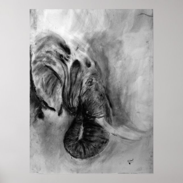 Elefantenposter 18x24 poster (Vorne)
