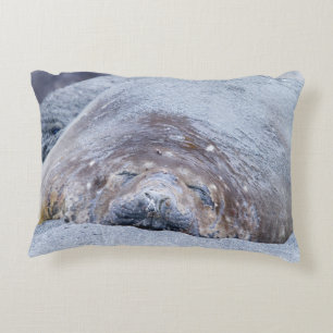 Elefantenschlafen Siegel Dekokissen