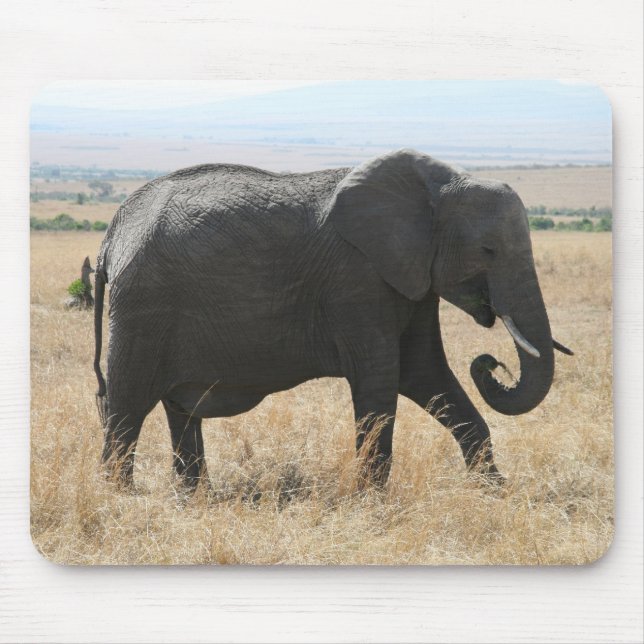 Elefantenspaziergang Mousepad (Vorne)