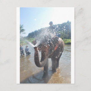 Elefantensprühwasser Postkarte