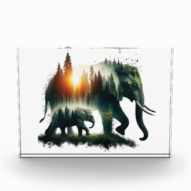 Elefantenwald  fotoblock (Vorderseite)