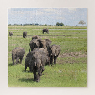 Elefantenwanderung Puzzle