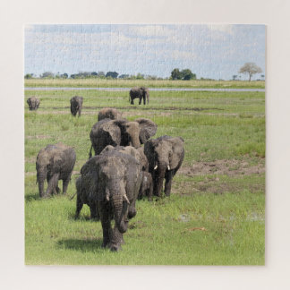 Elefantenwanderung Puzzle