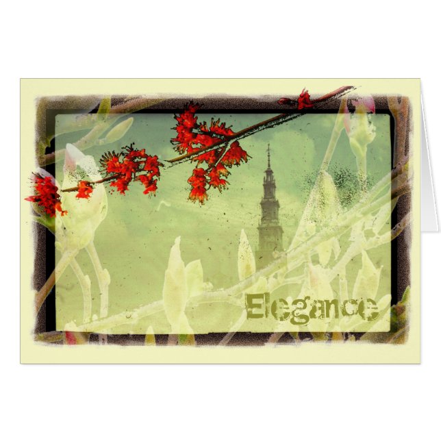 Elegance (Vorderseite (Horizontal))