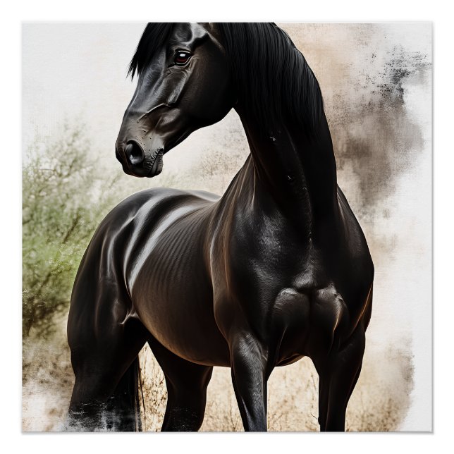 Elegance Ébene Poster (Vorderseite)