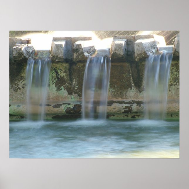 Elegance Poster (Vorne)