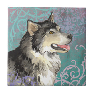 Elegant Alaskan Malemute Fliese