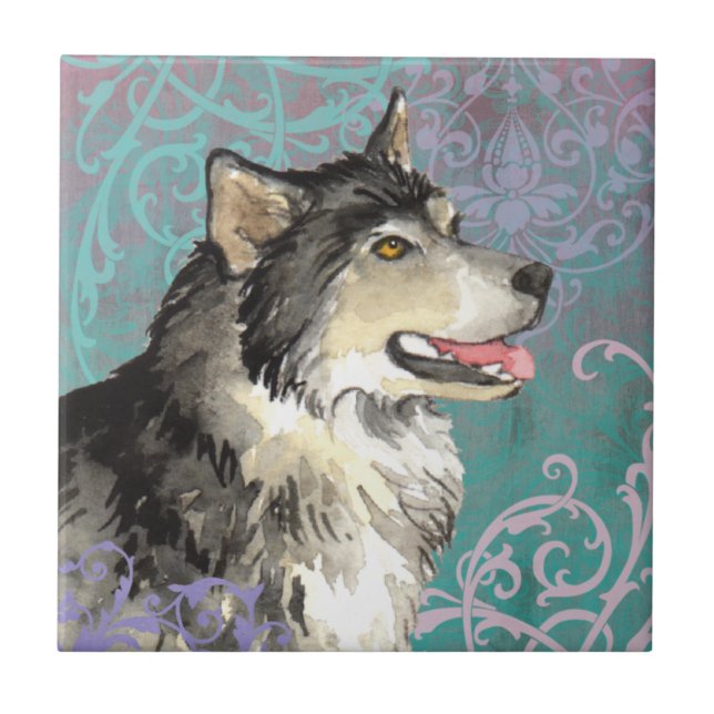 Elegant Alaskan Malemute Fliese (Vorderseite)