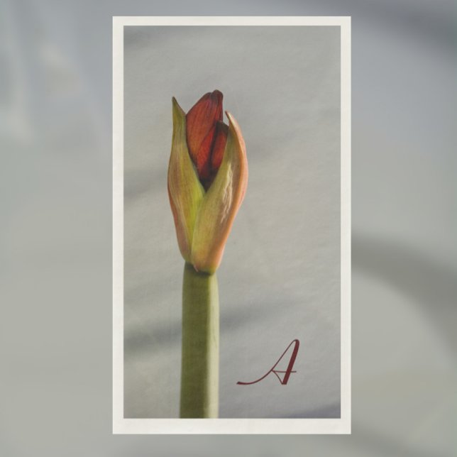 Elegant Amaryllis Bud Minimalistisch Serviette (Von Creator hochgeladen)