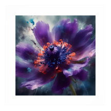 Elegant Anemone Blume