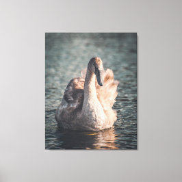 Elegant auf dem Wye Leinwanddruck