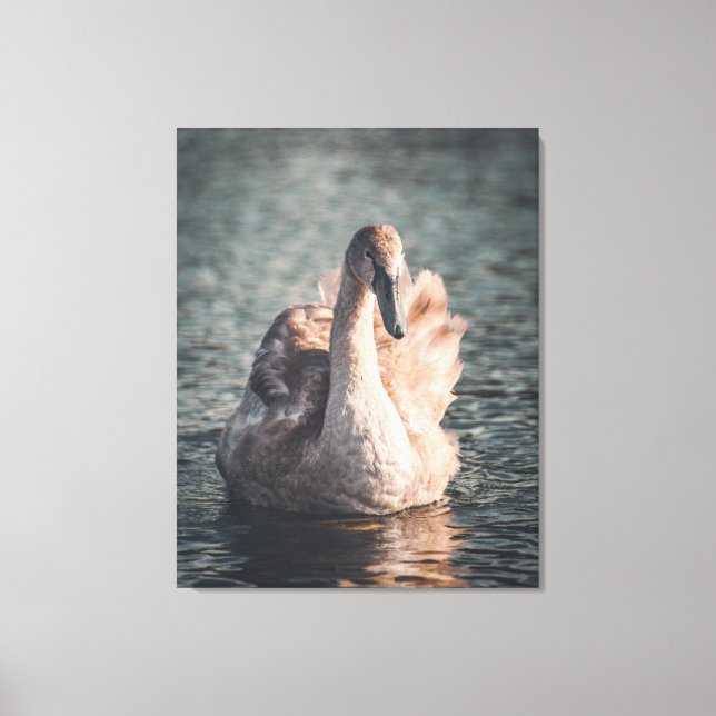 Elegant auf dem Wye Leinwanddruck (Vorderseite)