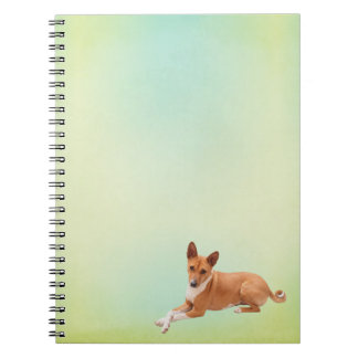 Elegant Basenji Dog Notebook Notizblock