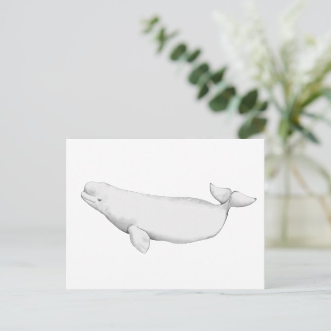 Elegant Beluga Whale Book Illustration Postkarte (Stehend Vorderseite)