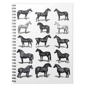 Elegant Black White Equestrian Vintage Horse Notizblock