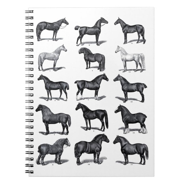 Elegant Black White Equestrian Vintage Horse Notizblock (Vorderseite)
