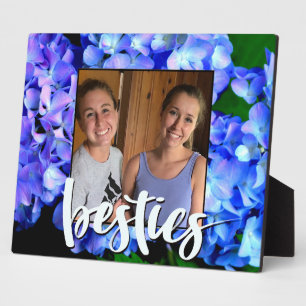 Elegant blaue lila Blumenhydrangeas Fotoplatte