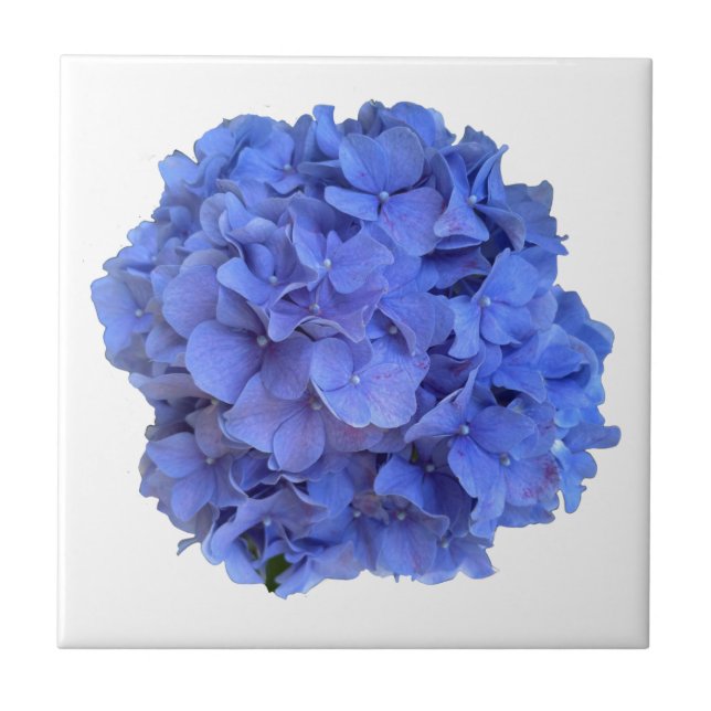 Elegant Blauer Korallenblumen Fliese (Vorderseite)