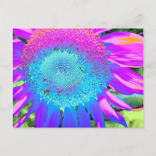 Elegant Blaurosa lila Retro-Sonnenblume Postkarte