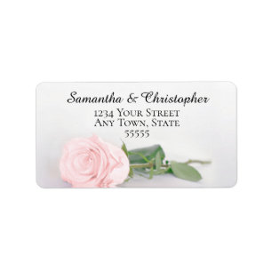 Elegant Blush Pink Rose Hochzeitadresse Adressaufkleber
