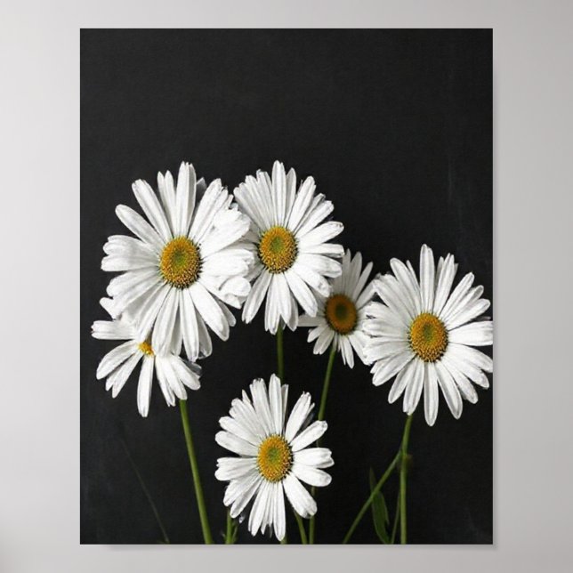 Elegant Botanical Still Life of Radiant White Oxey Poster (Vorne)