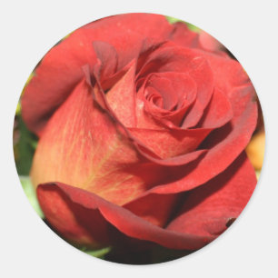 ELEGANT BURNT ROTE ROSE UMSCHLAG AUFKLEBER STICKER