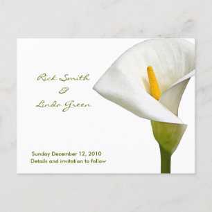 Elegant Cala Lily - Save the Date weiß Ankündigungspostkarte
