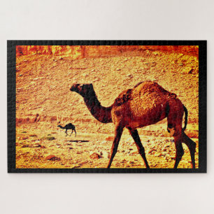 Elegant Camels Puzzle