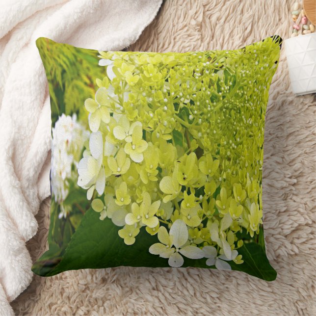 Elegant Chartreuse Green Limelight Hydrangea Kissen (Decke)