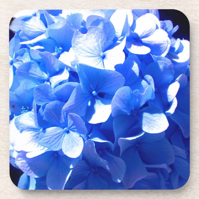 Elegant Cobalt Blau Blumen elegante Hydrangeas Getränkeuntersetzer (Vorderseite)