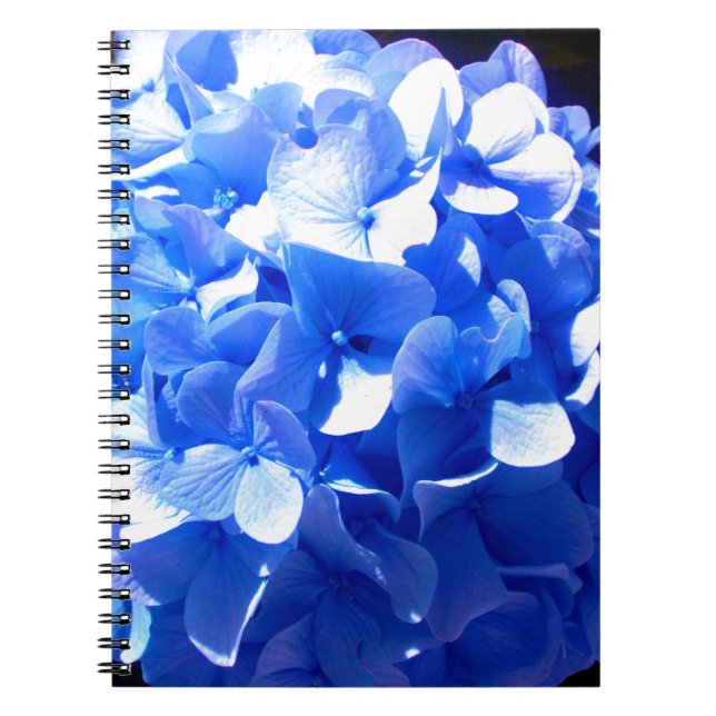 Elegant Cobalt Blau Blumen elegante Hydrangeas Notizblock (Vorderseite)