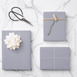 Elegant cool grau Minimalistisch und elegant Geschenkpapier Set