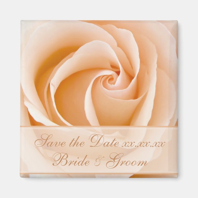 Elegant Cream Rose Save the Date Magnet (Vorne)