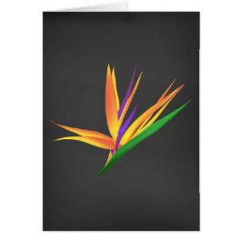 Elegant Danke für Ihr Beileid