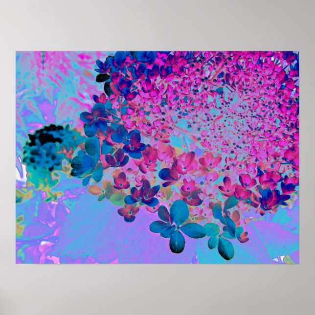 Elegant Dark Blue und Magenta Limelight Hydrangea Poster (Vorne)